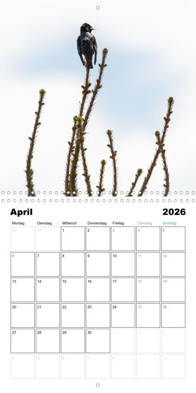 Klappkalender Kollektion '22