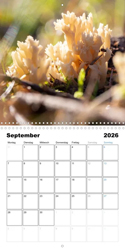 Klappkalender Kollektion '25