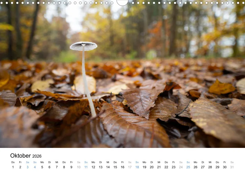 Kalender Kollektion '24