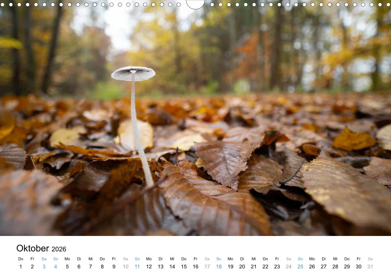 Kalender Kollektion '24