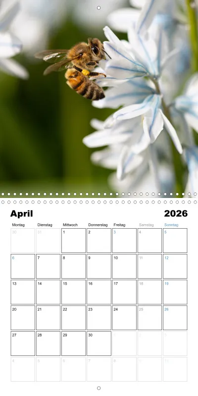 Klappkalender Kollektion '23