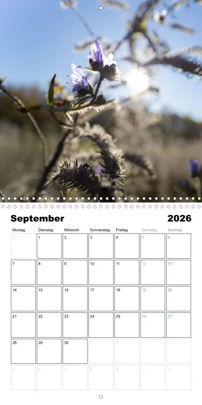 Klappkalender Kollektion '22