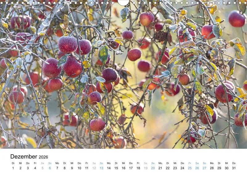 Kalender Kollektion '25
