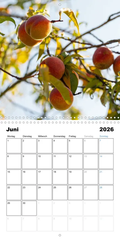 Klappkalender Kollektion '25