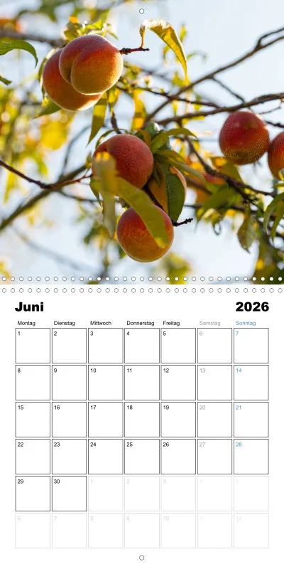 Klappkalender Kollektion '25