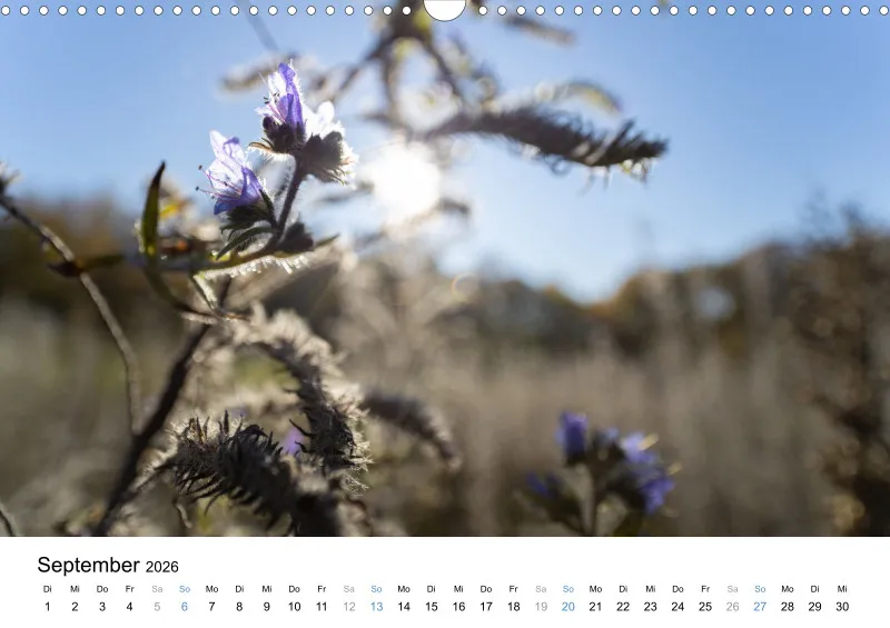 Kalender Kollektion '22