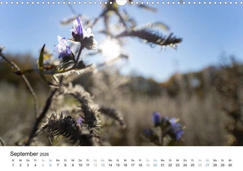 Kalender Kollektion '22
