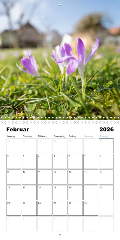 Klappkalender Kollektion '24