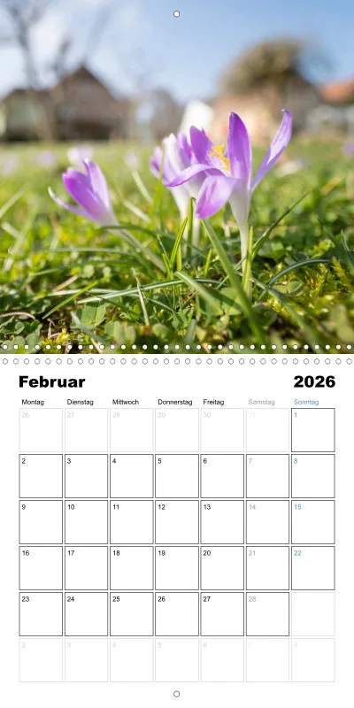 Klappkalender Kollektion '24