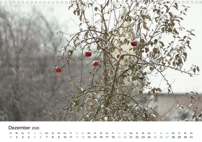 Kalender Kollektion '22