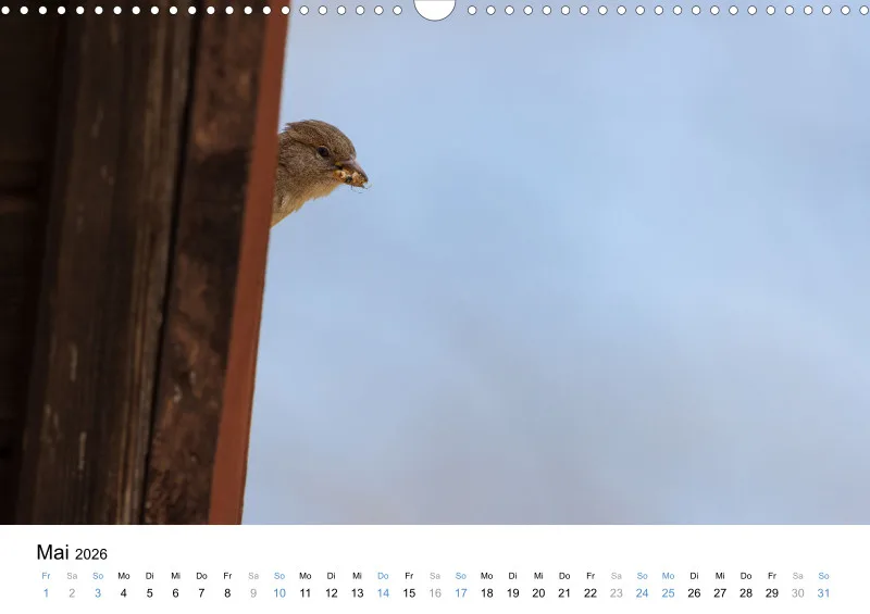 Kalender Kollektion '24