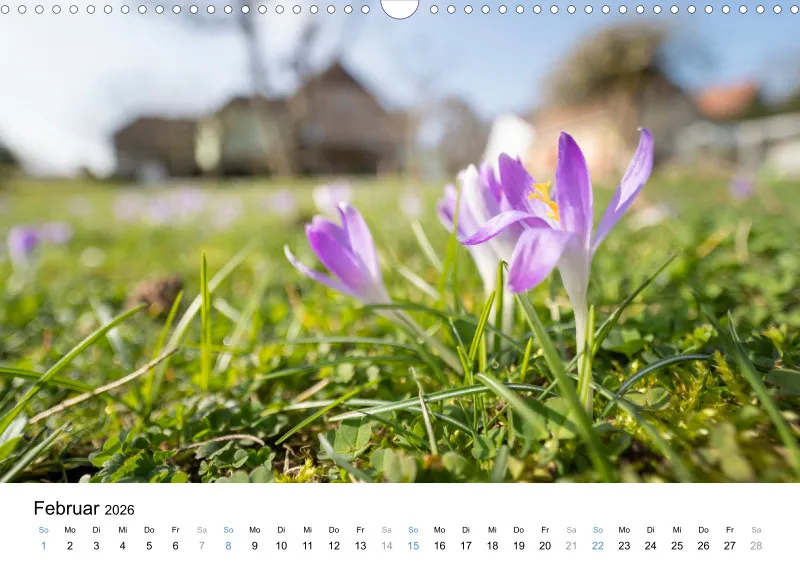 Kalender Kollektion '24