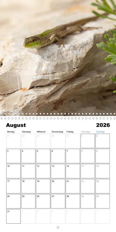Klappkalender Kollektion '24