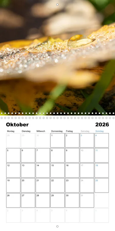 Klappkalender Kollektion '22