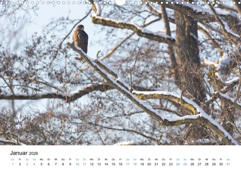 Kalender Kollektion '22