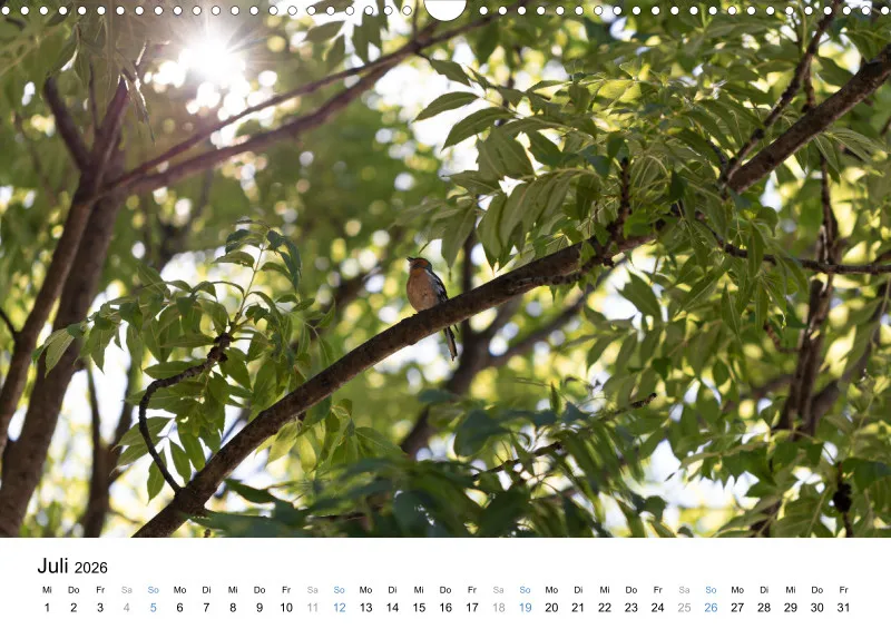 Kalender Kollektion '22