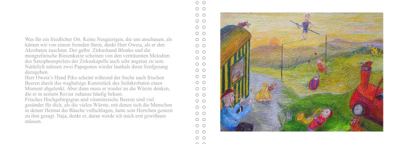 OWEIA BUCH DREI