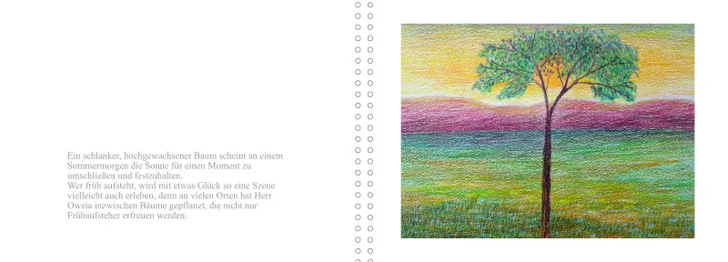 OWEIA BUCH DREI