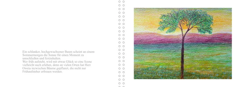 OWEIA BUCH DREI
