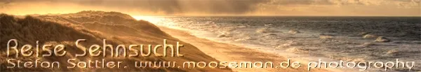 Mooseman Photography