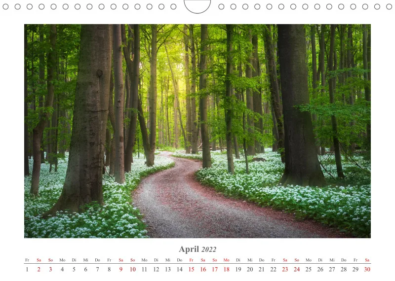Natur im Licht - Stille Momente