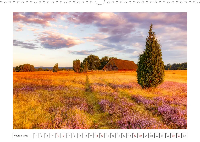 Natur im Licht - Romantische Heideblüte