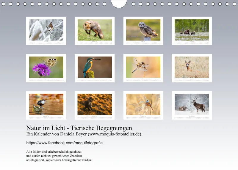 Natur im Licht - Tierische Begegnungen