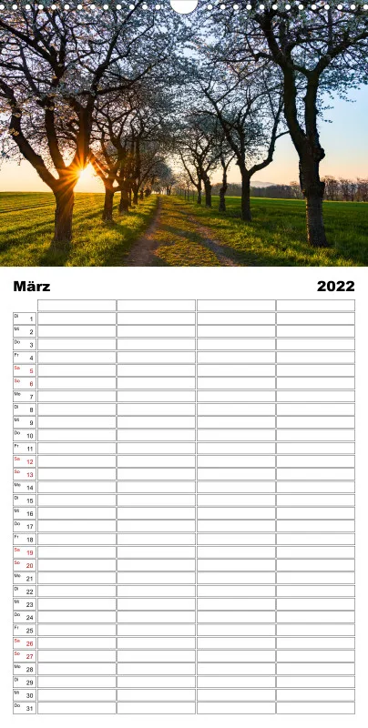 Natur im Licht - Sonnige Augenblicke