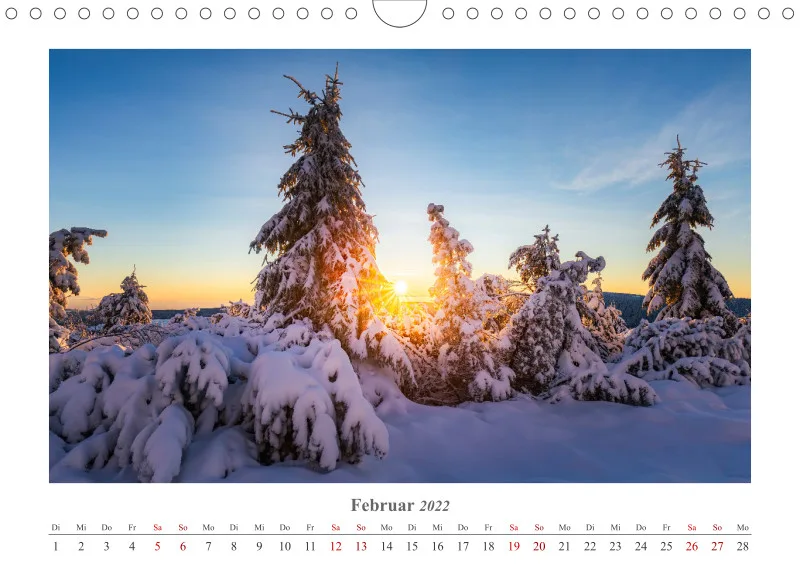 Natur im Licht - Sonnige Augenblicke