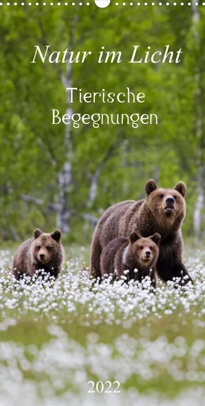 Natur im Licht - Tierische Begegnungen