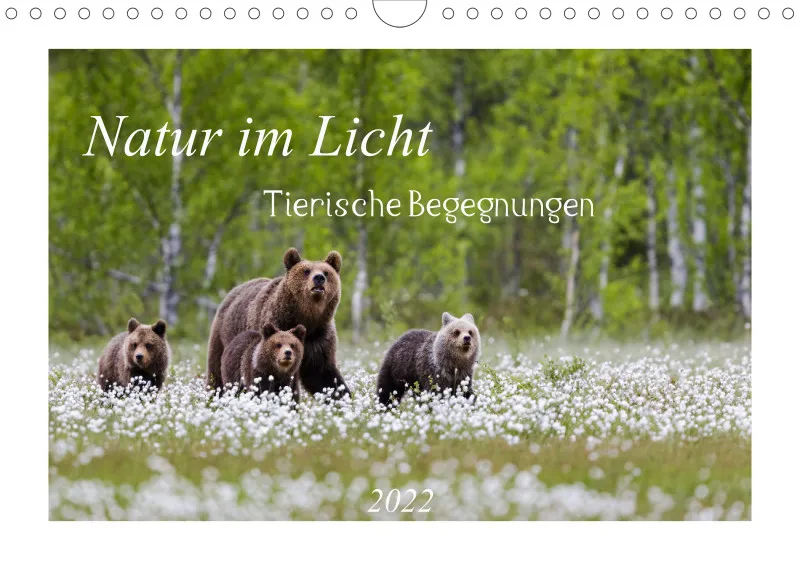 Natur im Licht - Tierische Begegnungen