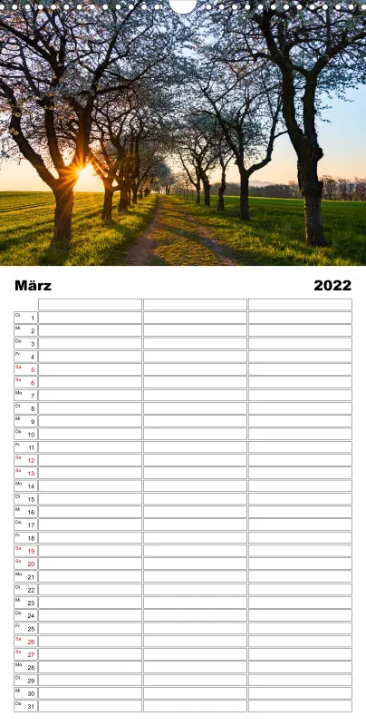 Natur im Licht - Sonnige Augenblicke