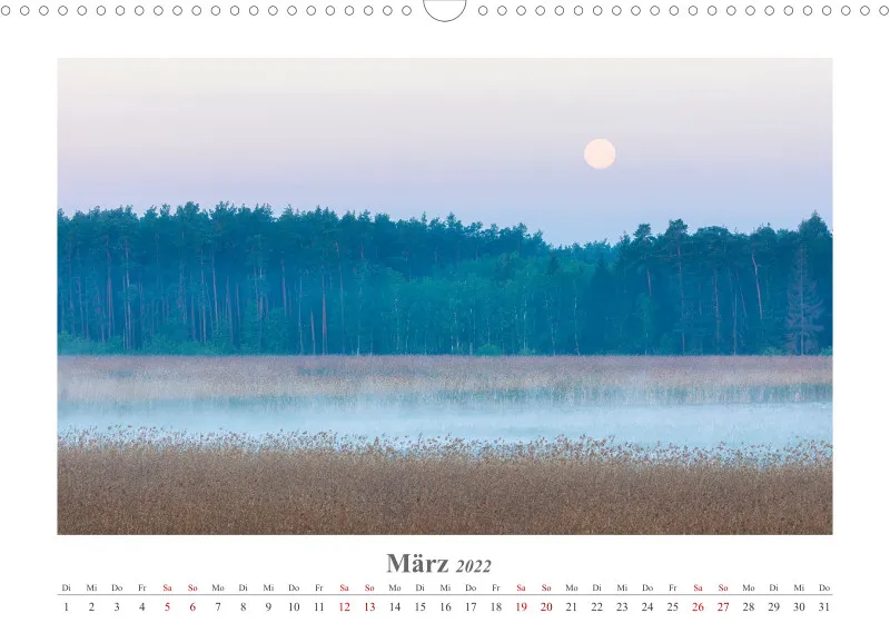 Natur im Licht - Stille Momente