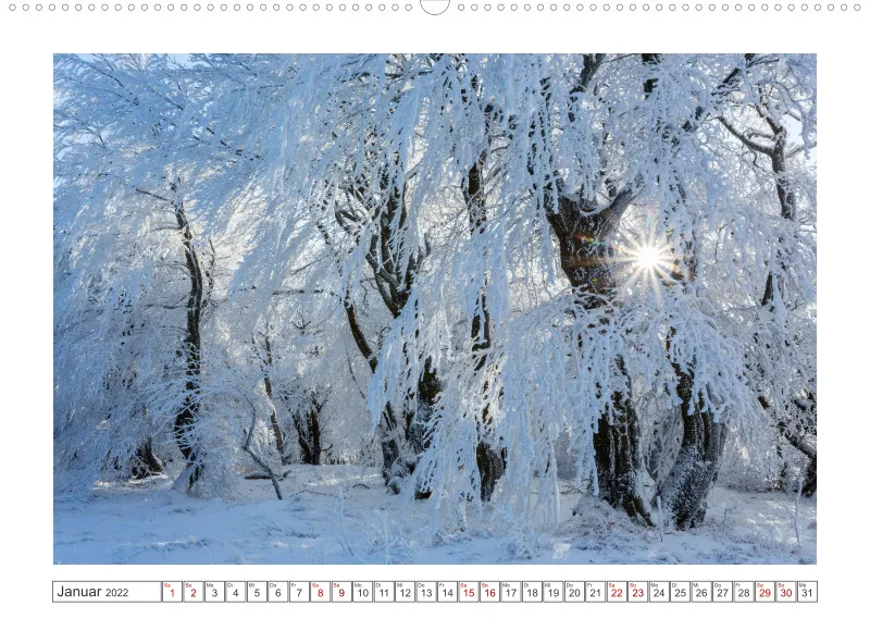 Natur im Licht - Sonnige Augenblicke