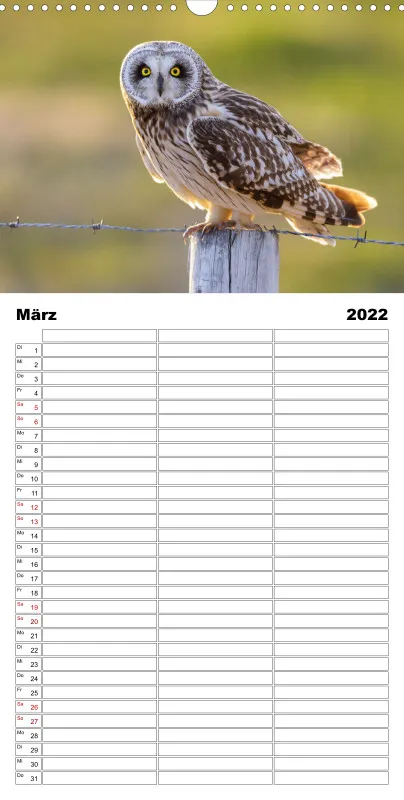 Natur im Licht - Tierische Begegnungen
