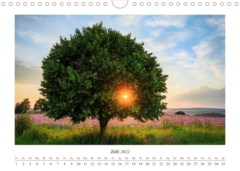 Natur im Licht - Sonnige Augenblicke