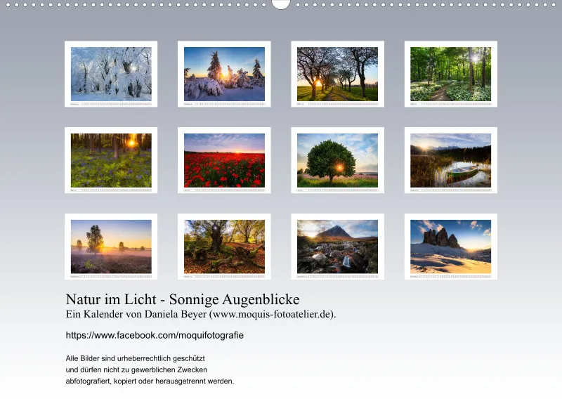 Natur im Licht - Sonnige Augenblicke
