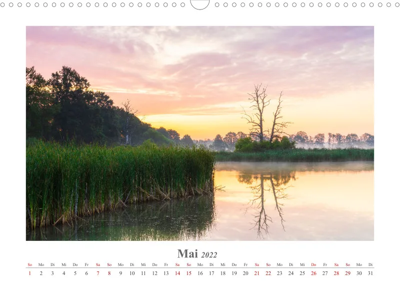 Natur im Licht - Stille Momente