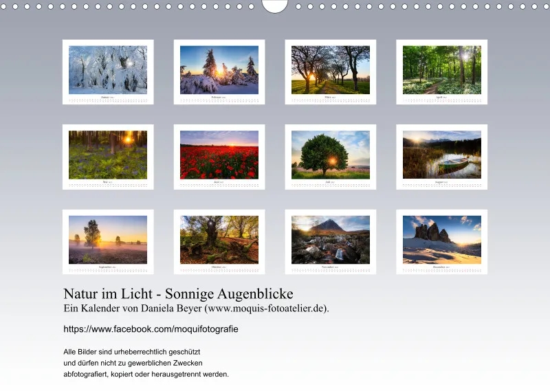 Natur im Licht - Sonnige Augenblicke