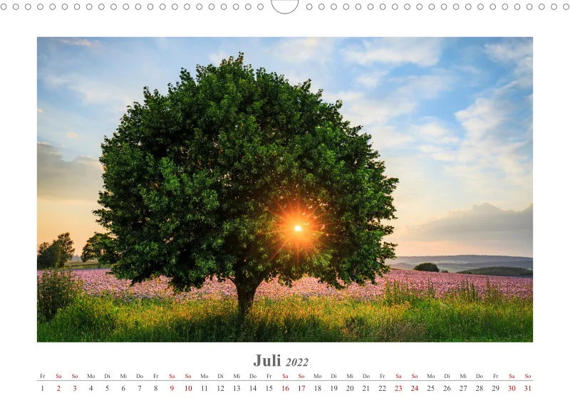 Natur im Licht - Sonnige Augenblicke