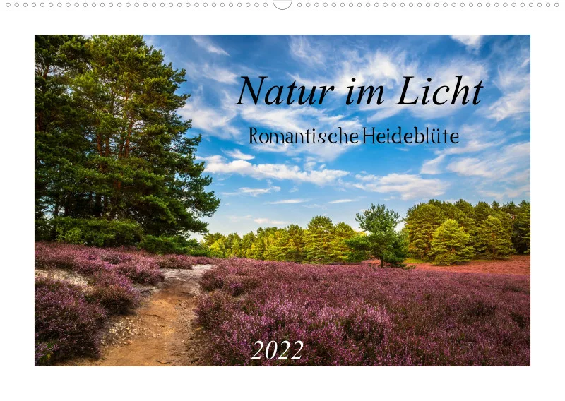 Natur im Licht - Romantische Heideblüte