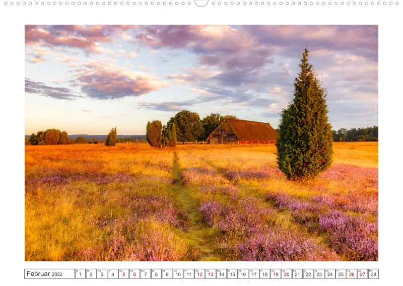 Natur im Licht - Romantische Heideblüte