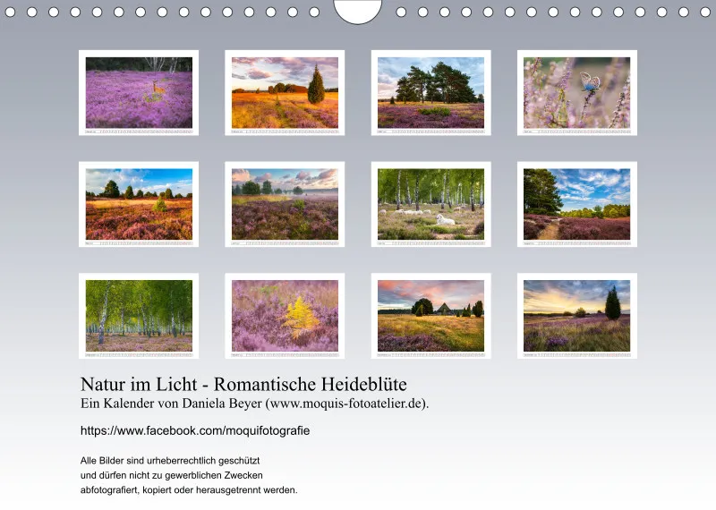 Natur im Licht - Romantische Heideblüte