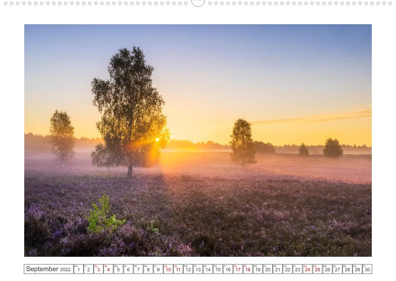 Natur im Licht - Sonnige Augenblicke