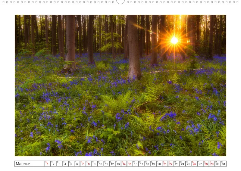 Natur im Licht - Sonnige Augenblicke