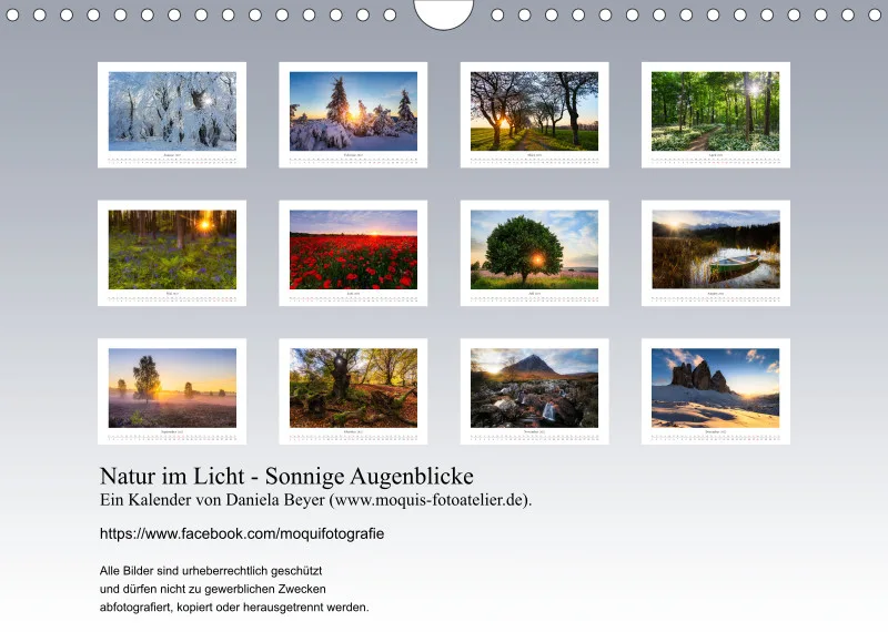 Natur im Licht - Sonnige Augenblicke