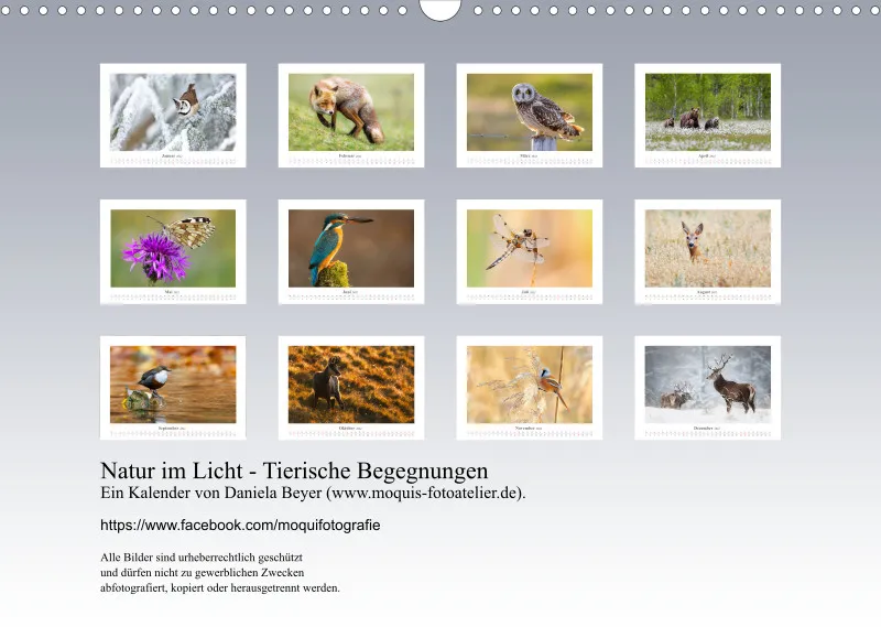 Natur im Licht - Tierische Begegnungen