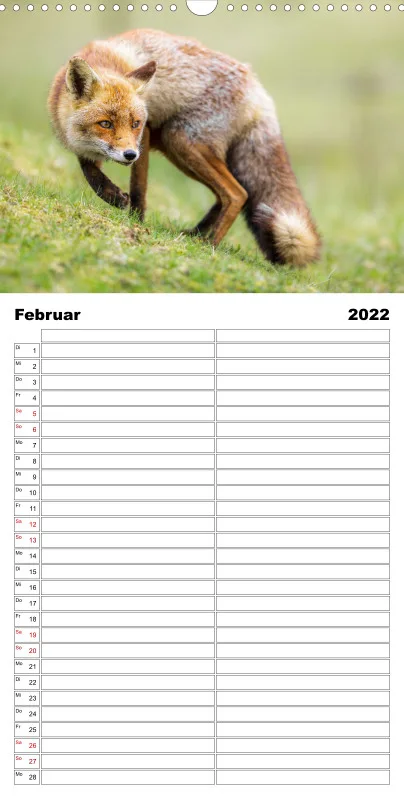 Natur im Licht - Tierische Begegnungen