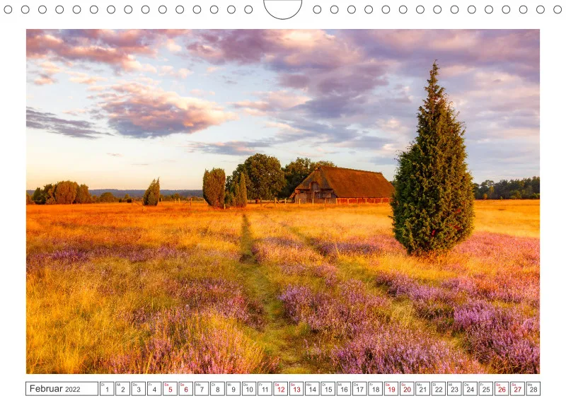 Natur im Licht - Romantische Heideblüte