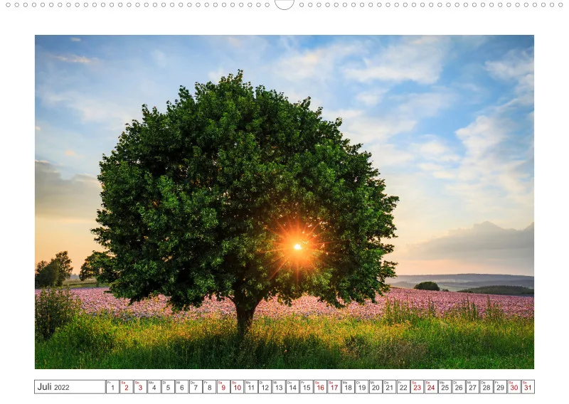 Natur im Licht - Sonnige Augenblicke